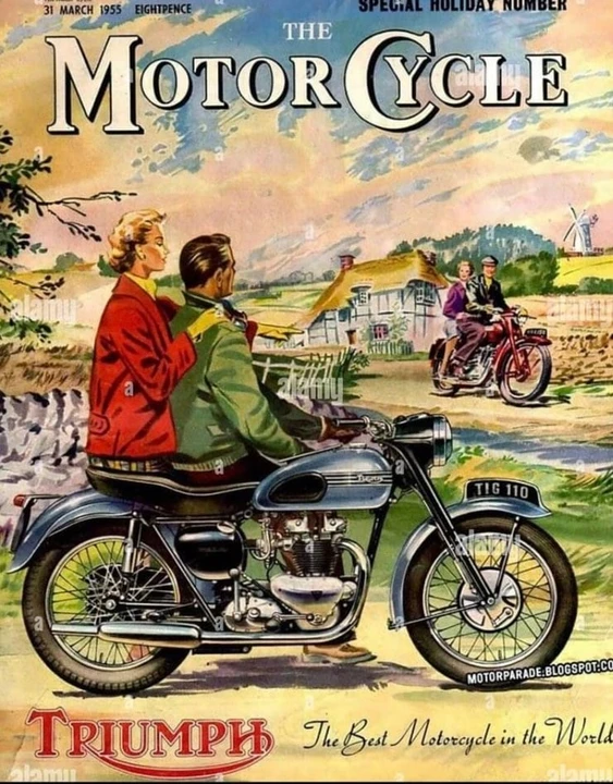 1954 Triumph Tiger (Triumph Engineering) - Image 30 of 30