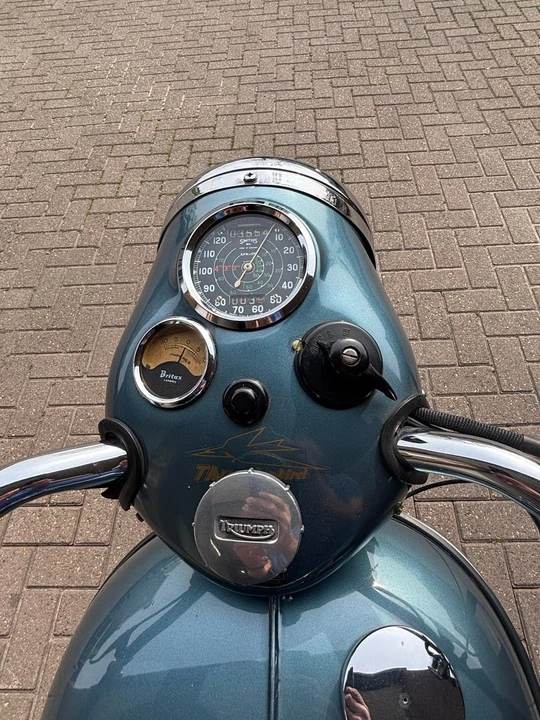 1954 Triumph Tiger (Triumph Engineering) - Image 6 of 30
