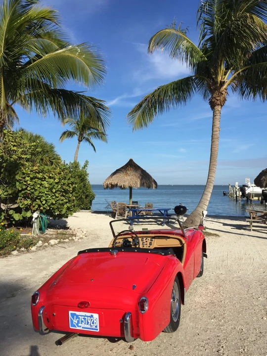 1954 Triumph TR2 - Image 8 of 31