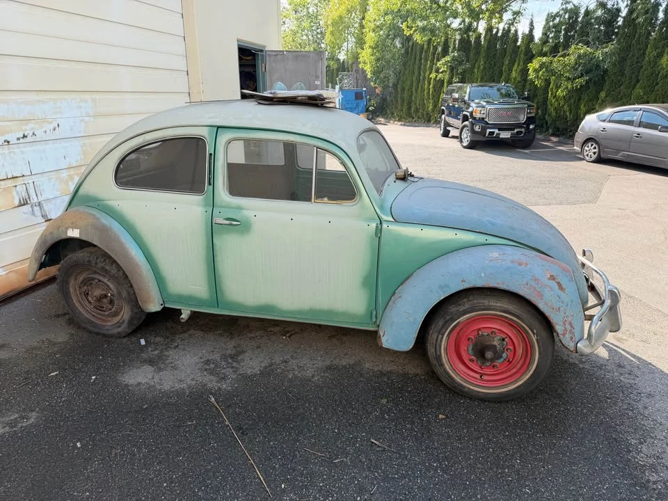 1954 Volkswagen Beetle (Oval Window) - Image 3 of 11