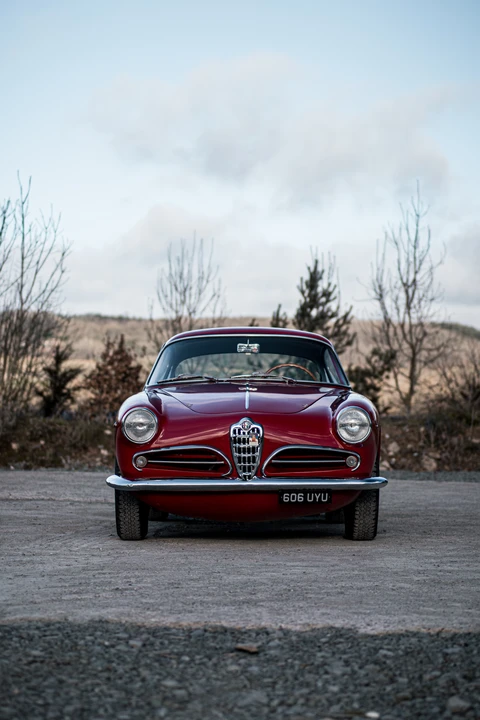1955 Alfa Romeo 1900 - Image 26 of 31