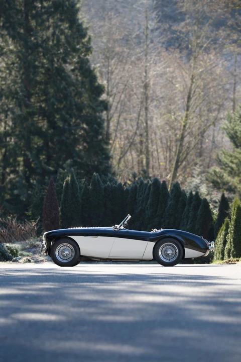 1955 Austin-Healey 100 - Image 20 of 30