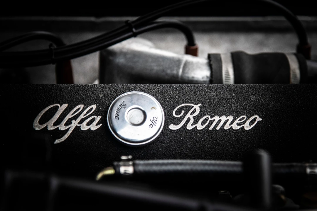 1955 Alfa Romeo 1900 - Image 28 of 31