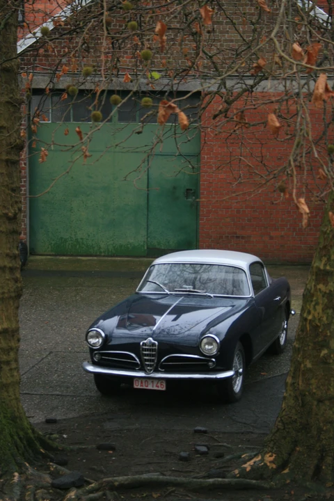 1955 Alfa Romeo 1900 - Image 6 of 8