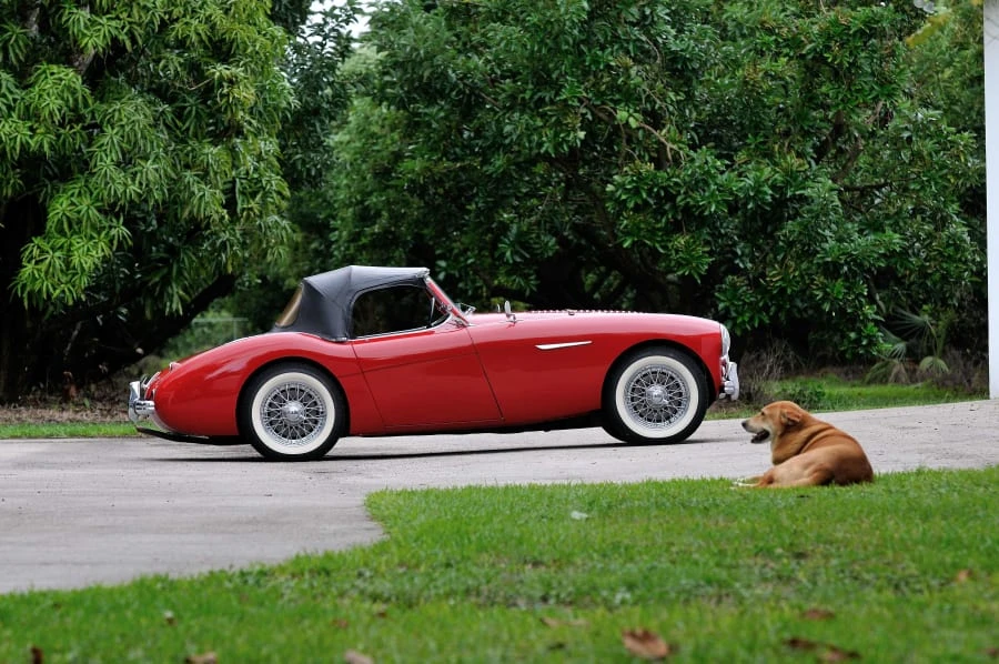1955 Austin-Healey 100 - Image 2 of 12