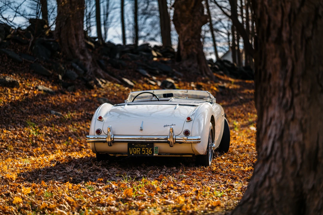 1955 Austin-Healey 100 - Image 14 of 31