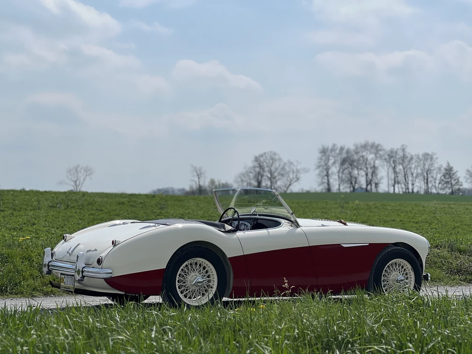 1955 Austin-Healey 100 - Image 9 of 31