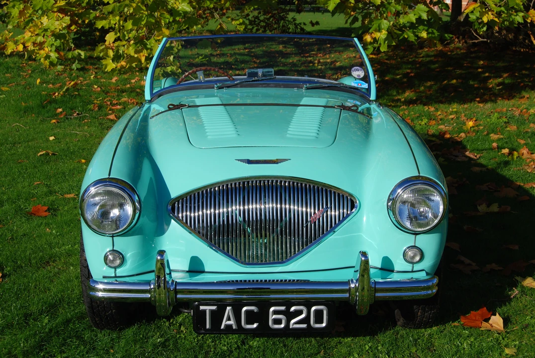 1955 Austin-Healey 100 - Image 12 of 12