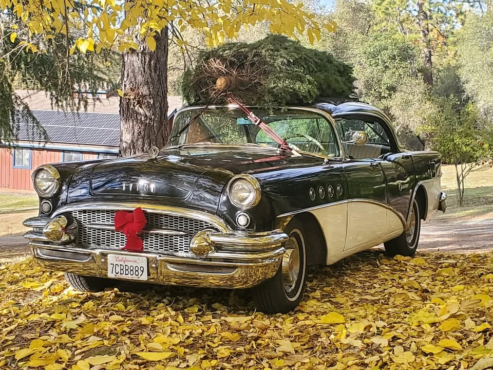1955 Buick Century - Image 6 of 6