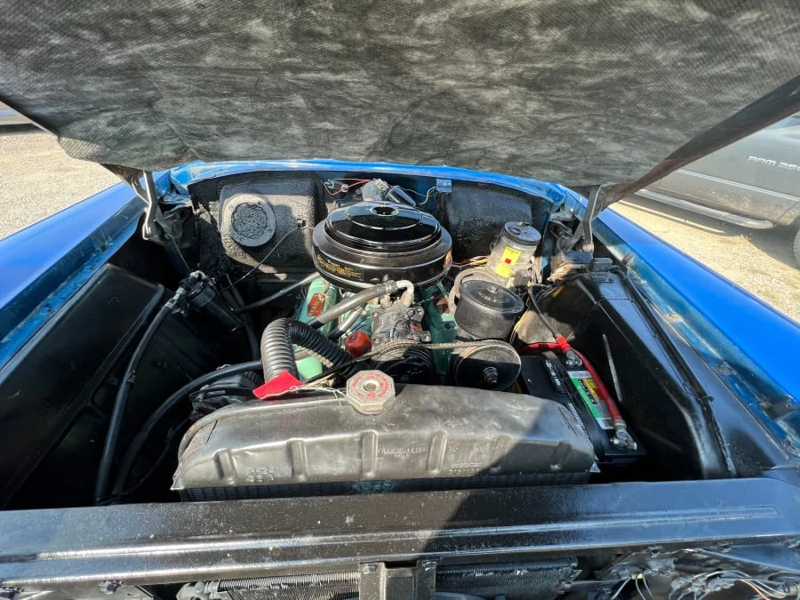 1955 Buick Special - Image 7 of 7