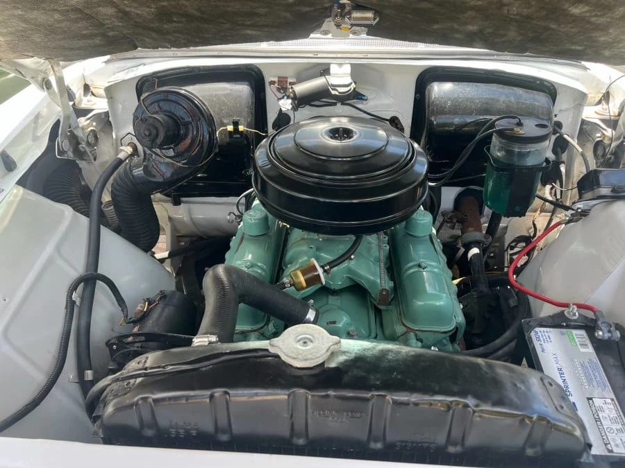 1955 Buick Special - Image 17 of 17