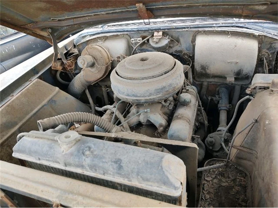 1955 Buick Special - Image 4 of 11