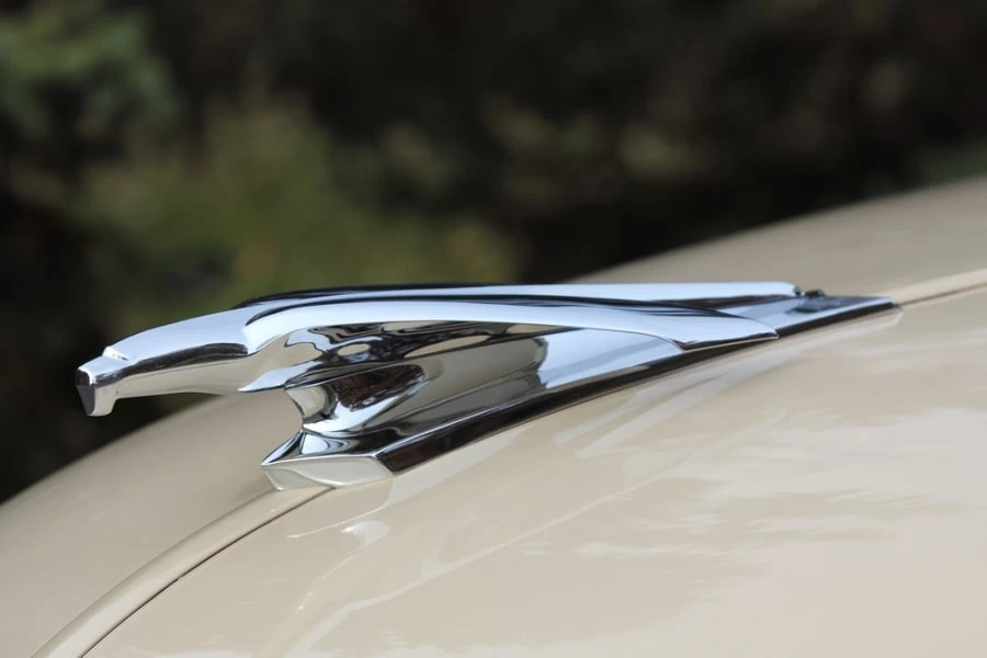 1955 Chevrolet Advance Design - Image 10 of 12