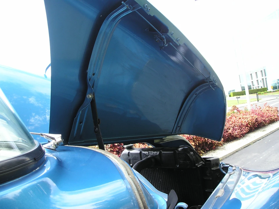 1955 Dodge C Series - Image 27 of 31