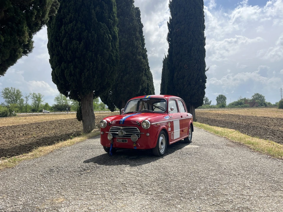 1955 Fiat 1100 - Image 5 of 31