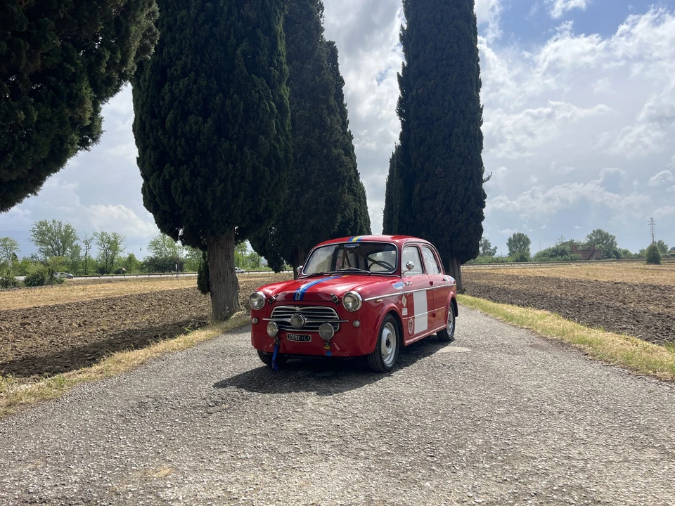 1955 Fiat 1100 - Image 6 of 31