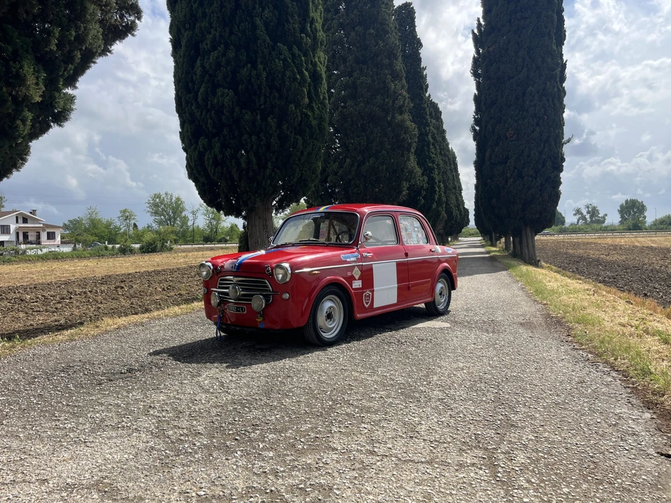 1955 Fiat 1100 - Image 7 of 31