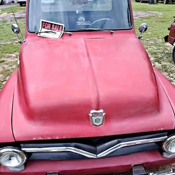 1955 Ford F1