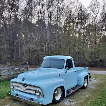 1955 Ford F100