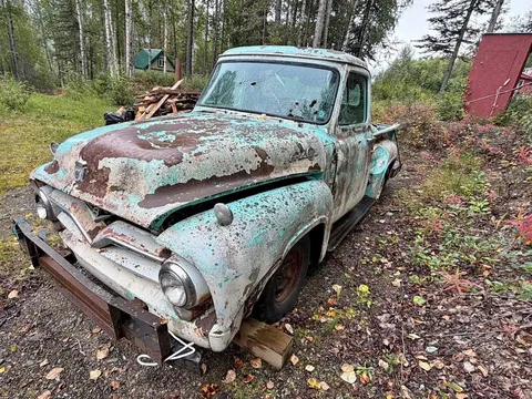 1955 Ford F100