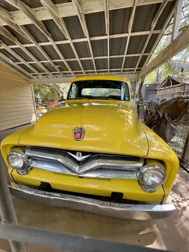 1955 Ford F100
