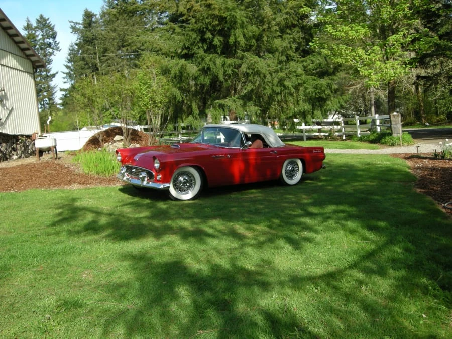 1955 Ford Thunderbird 1st Gen - Image 12 of 12