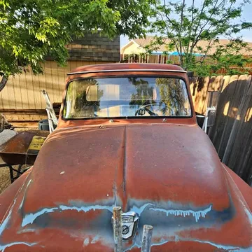 1955 Ford F-100