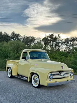 1955 Ford F100