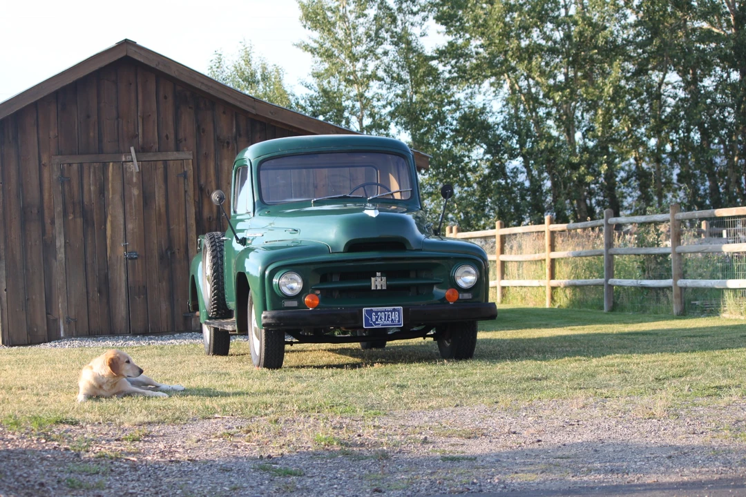 1955 International Harvester Pickup - Image 5 of 31