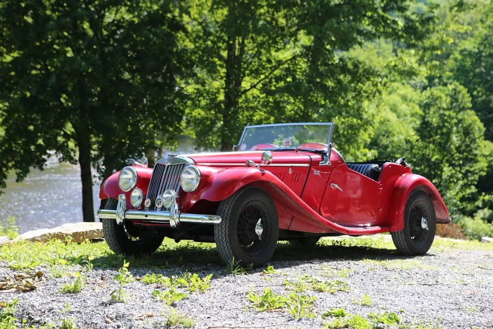 1955 Jaguar Replica - Image 9 of 9