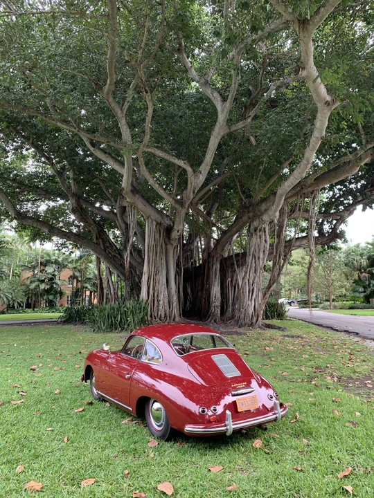 1955 Porsche 356 Pre-A - Image 11 of 31