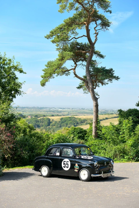 1955 Standard - Image 22 of 31