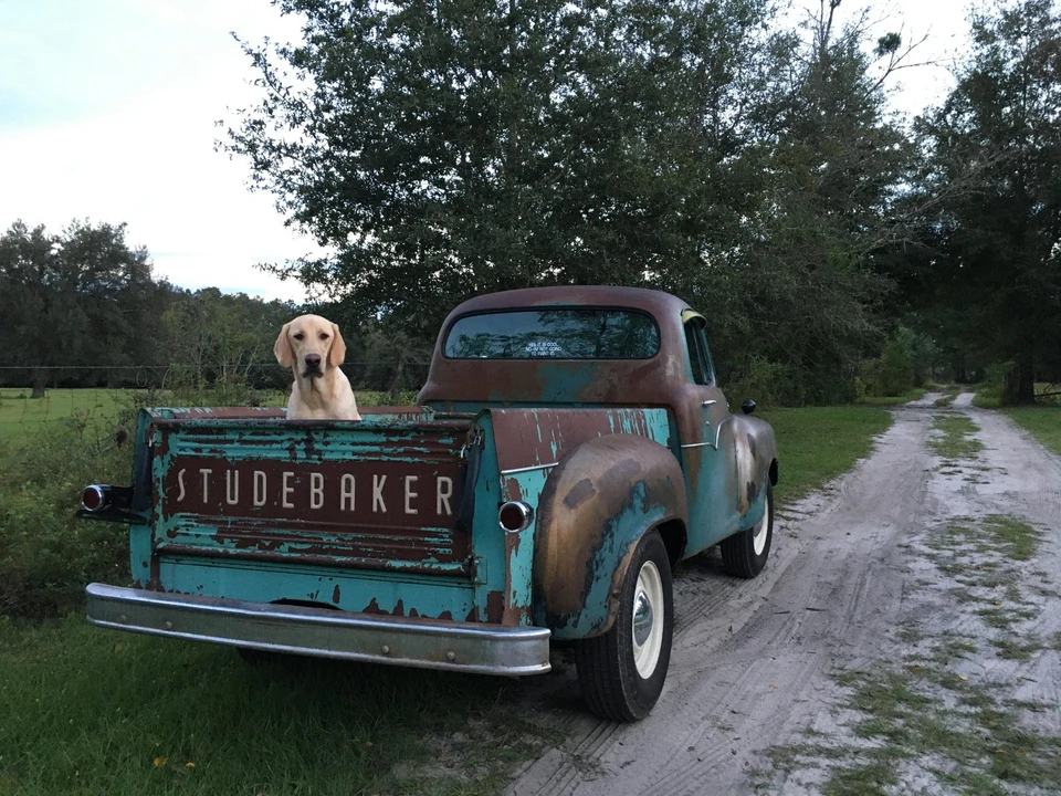 1955 Studebaker 2R/3R - Image 13 of 31