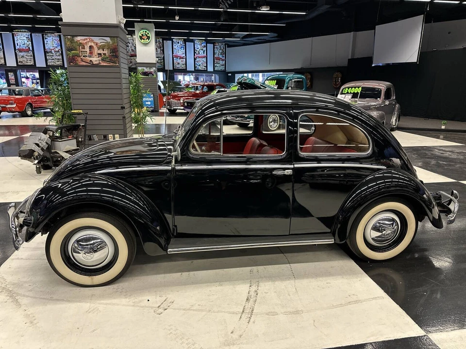 1955 Volkswagen Beetle (Oval Window) - Image 2 of 12