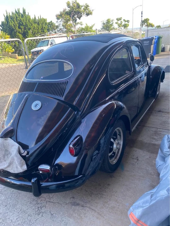 1955 Volkswagen Beetle (Oval Window) - Image 6 of 10