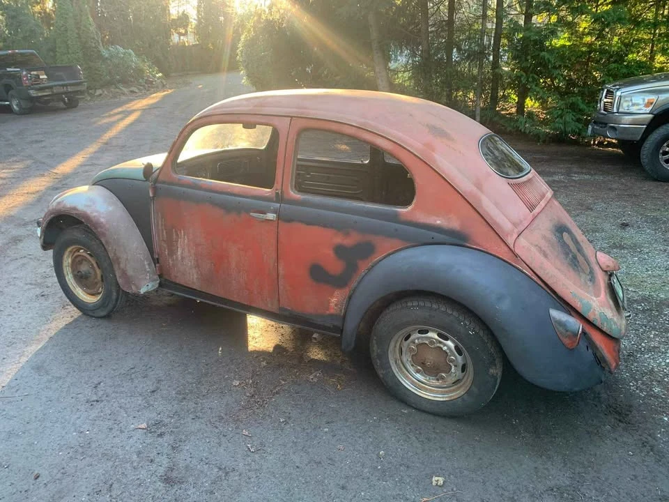 1955 Volkswagen Beetle (Oval Window) - Image 3 of 11