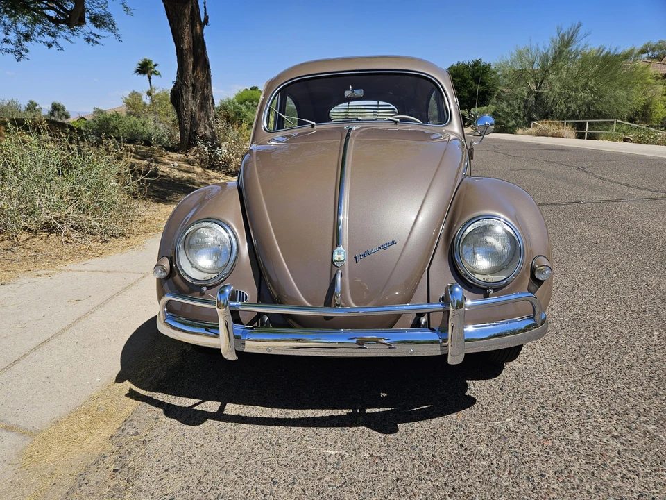 1955 Volkswagen Beetle (Oval Window) - Image 21 of 31