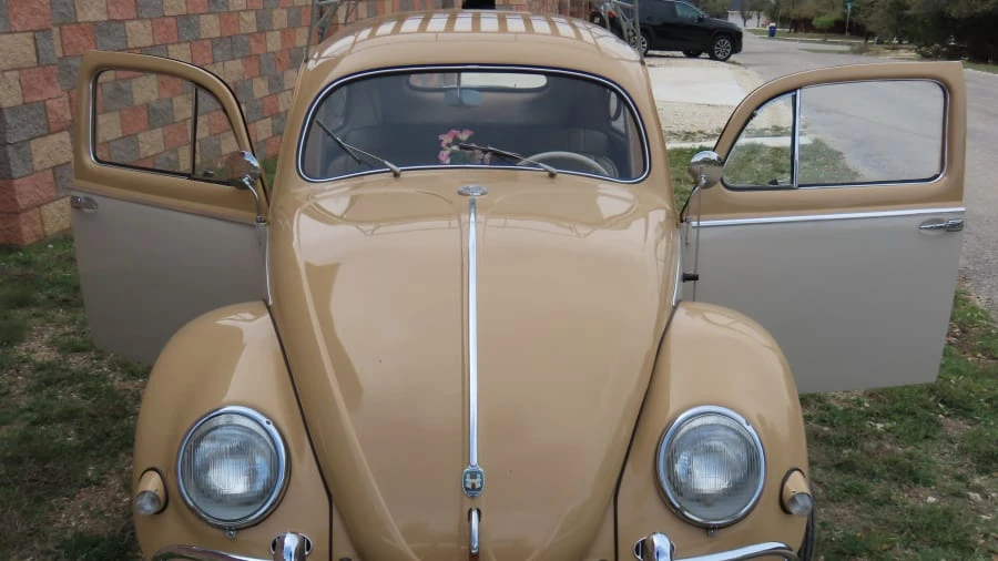 1955 Volkswagen Beetle (Oval Window) - Image 9 of 20