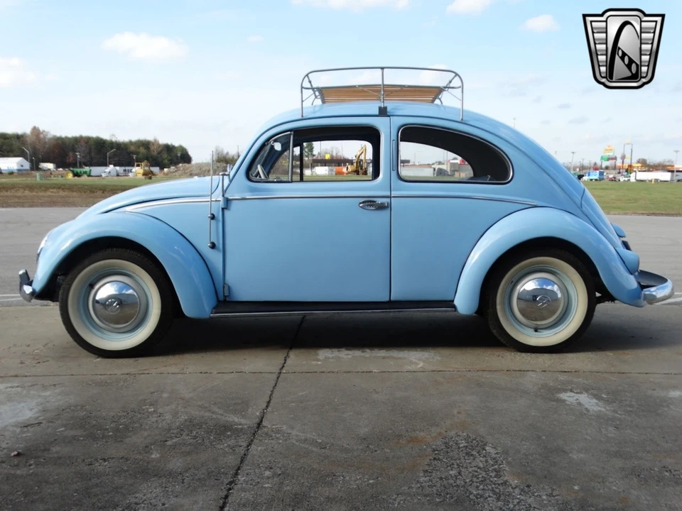1955 Volkswagen Beetle (Oval Window) - Image 5 of 12