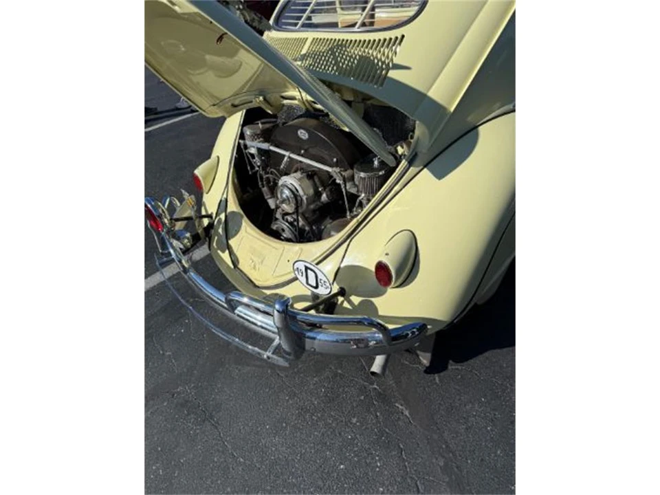 1955 Volkswagen Beetle (Oval Window) - Image 4 of 6