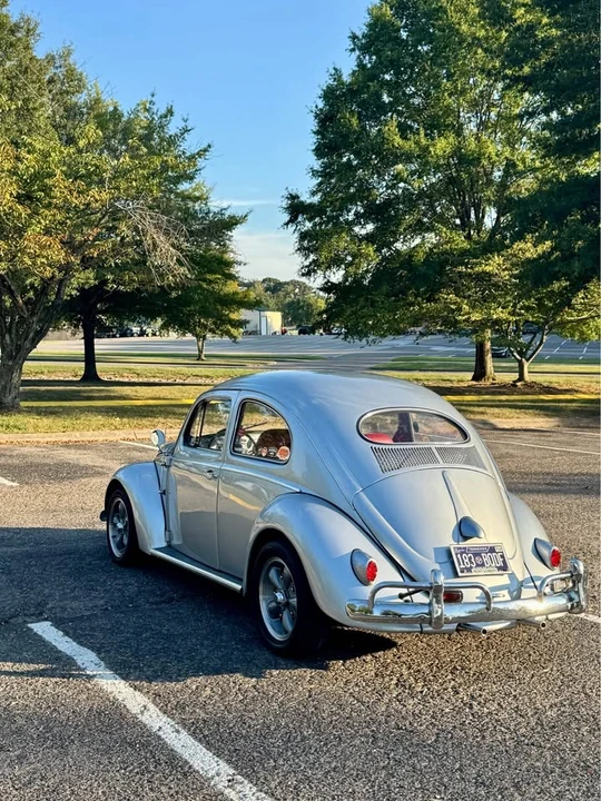 1955 Volkswagen Beetle (Oval Window) - Image 3 of 11