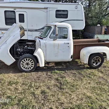 1955 Ford F-100