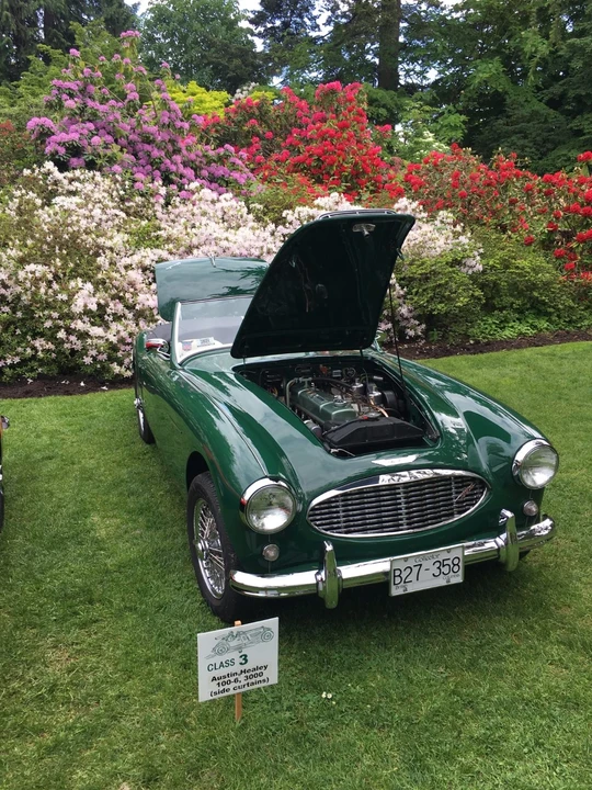 1956 Austin-Healey 100-6 - Image 5 of 31