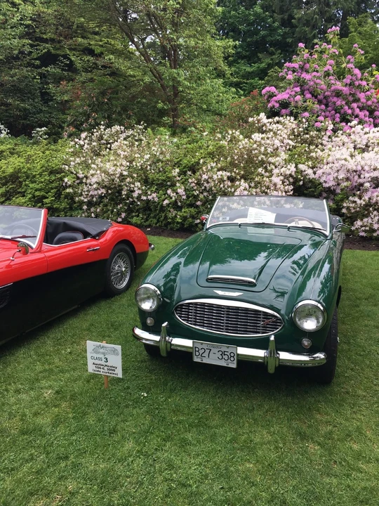 1956 Austin-Healey 100-6 - Image 4 of 31