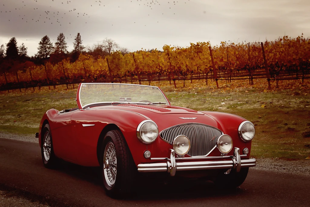 1956 Austin-Healey 100 - Image 18 of 31