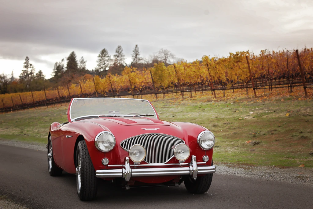 1956 Austin-Healey 100 - Image 14 of 31
