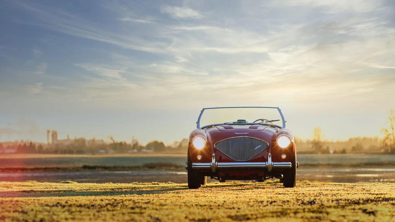 1956 Austin-Healey 100 - Image 4 of 31