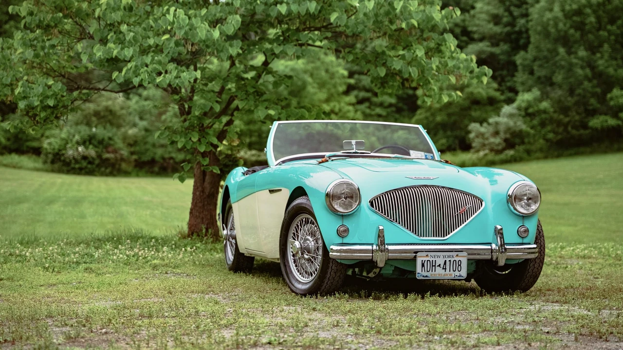 1956 Austin-Healey 100 - Image 10 of 31