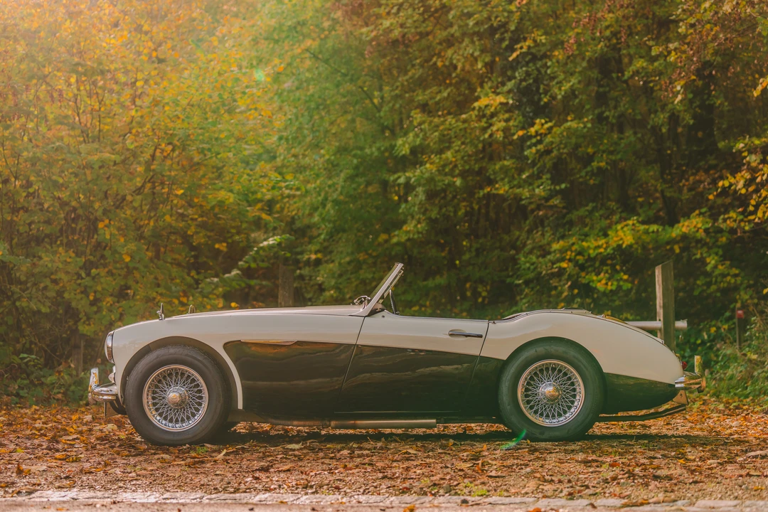 1956 Austin-Healey 100-6 - Image 13 of 31
