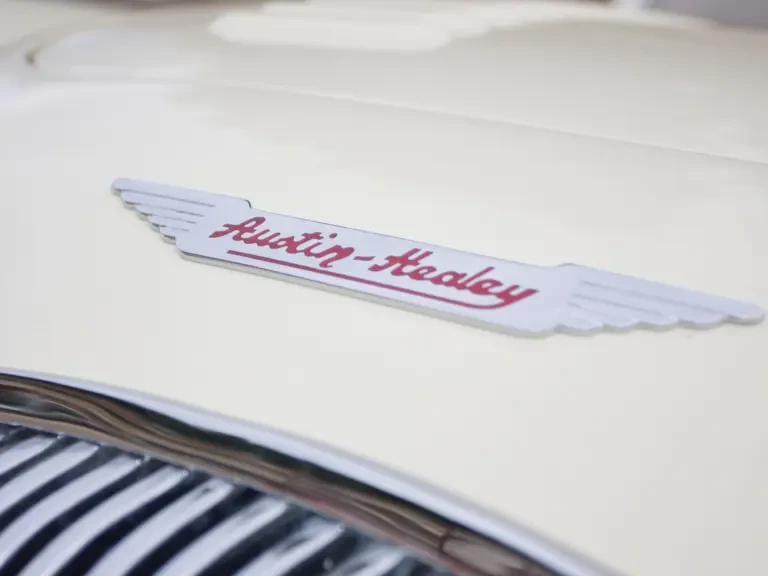 1956 Austin-Healey 100 - Image 20 of 28